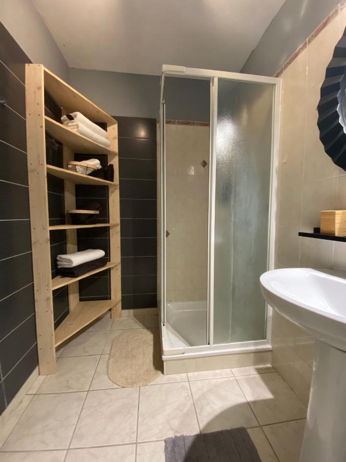 Villa Avec Jardin 600M² Netflix Proche Toulouse Colomiers Dış mekan fotoğraf