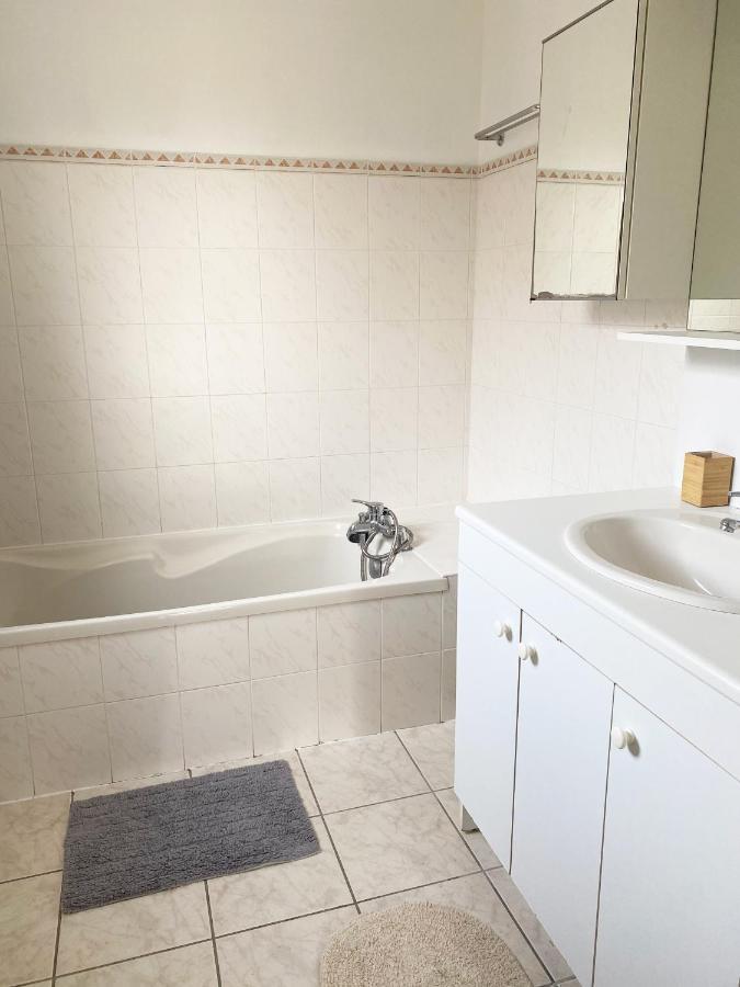Villa Avec Jardin 600M² Netflix Proche Toulouse Colomiers Dış mekan fotoğraf